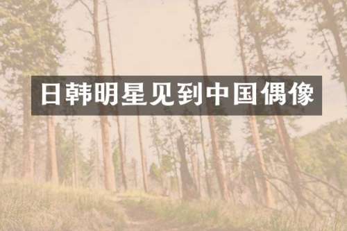 日韩明星见到中国偶像