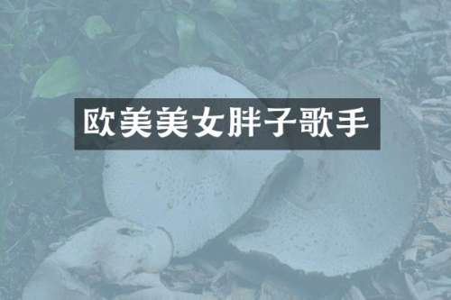 欧美胖子歌手