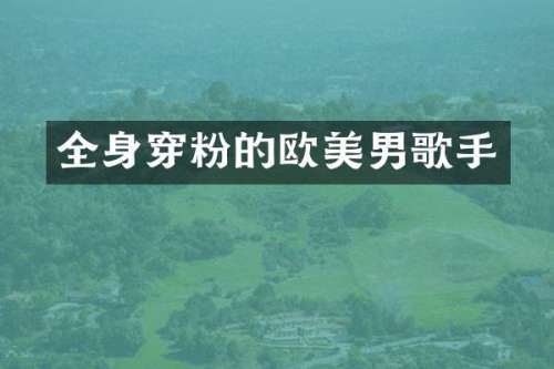 全身穿粉的欧美男歌手