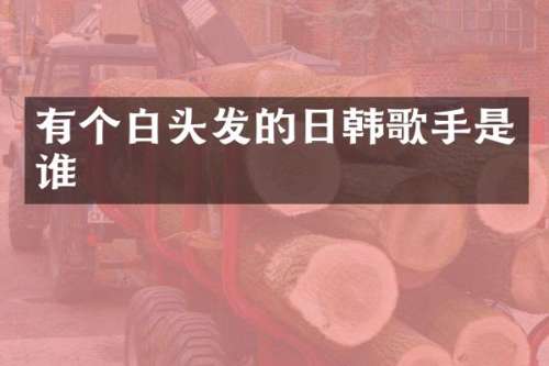 有个白头发的日韩歌手是谁