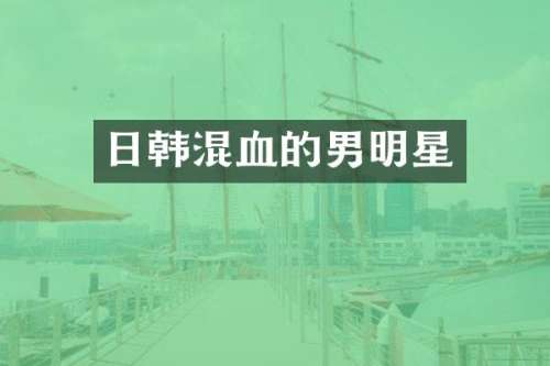 日韩混血的男明星