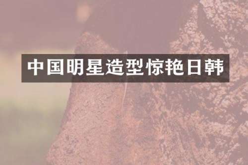 中国明星造型惊艳日韩