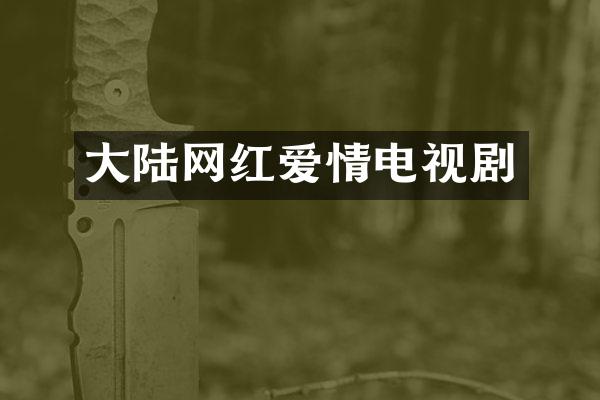 大陆网红爱情电视剧