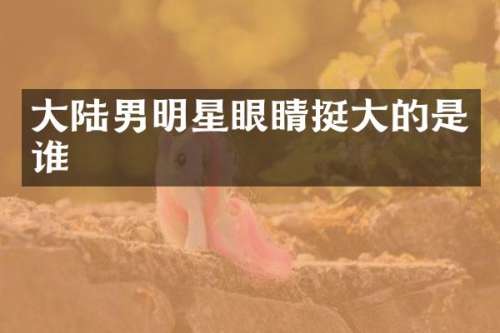大陆男明星眼睛挺大的是谁