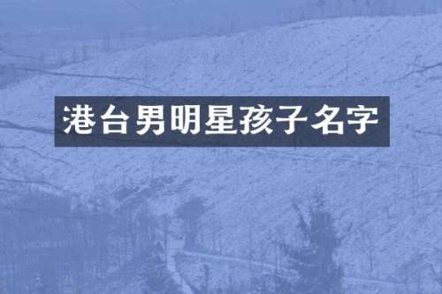 港台男明星孩子名字