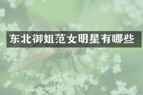 东北御姐范女明星有哪些