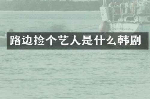 路边捡个艺人是什么韩剧