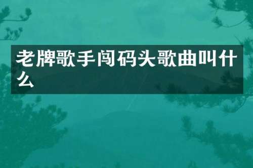 老牌歌手闯码头歌曲叫什么