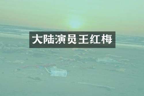 大陆演员王红梅