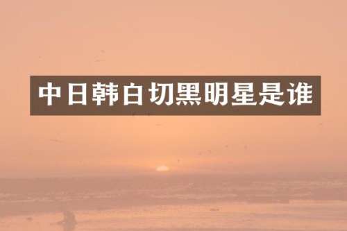 中日韩白切黑明星是谁