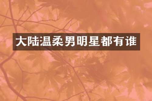 大陆温柔男明星都有谁