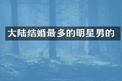 大陆结婚最多的明星男的
