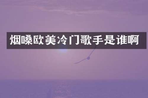 烟嗓欧美冷门歌手是谁啊