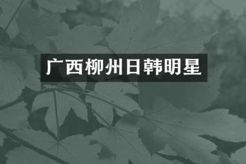 广西柳州日韩明星
