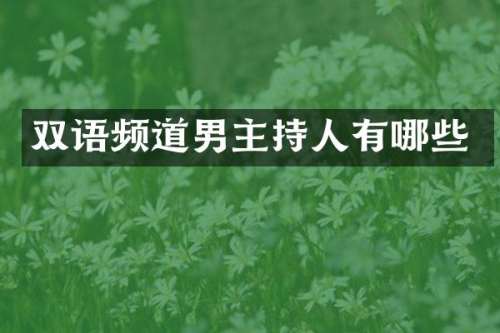 双语频道男主持人有哪些