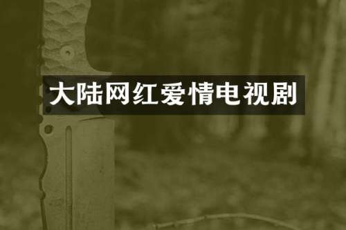 大陆网红爱情电视剧