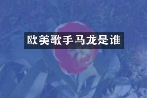 欧美歌手马龙是谁