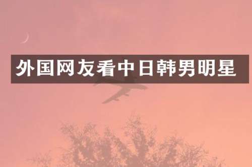 外国网友看中日韩男明星