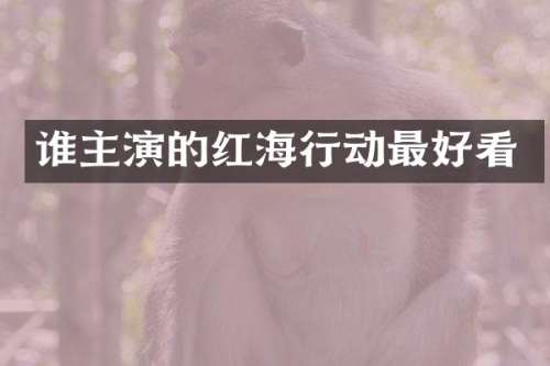 谁主演的红海行动最好看