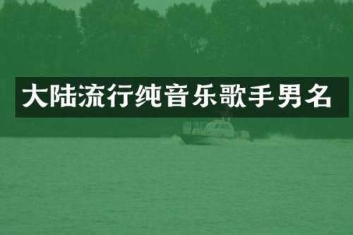 大陆流行纯音乐歌手男名