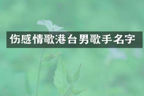 伤感情歌港台男歌手名字