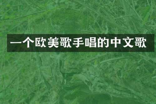 一个欧美歌手唱的中文歌