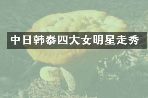 中日韩泰四大女明星走秀