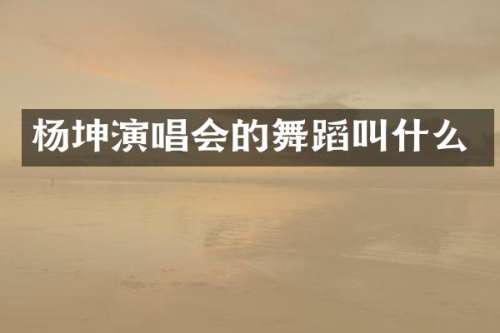 杨坤演唱会的舞蹈叫什么