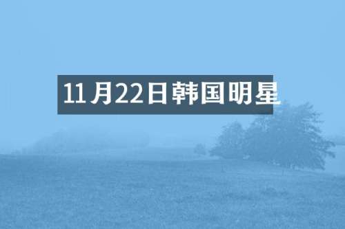 11月22日韩国明星