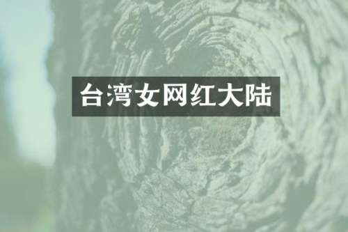 台湾女网红大陆