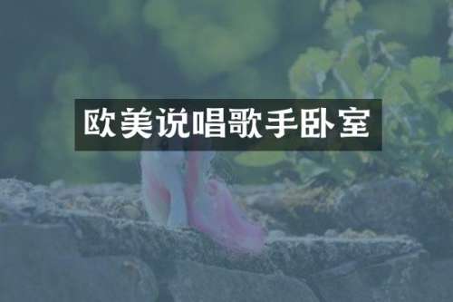 欧美说唱歌手卧室