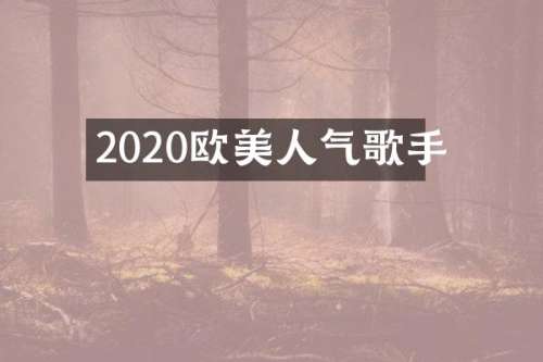 2020欧美人气歌手