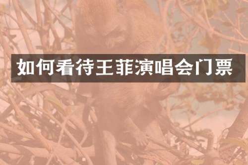 如何看待王菲演唱会门票
