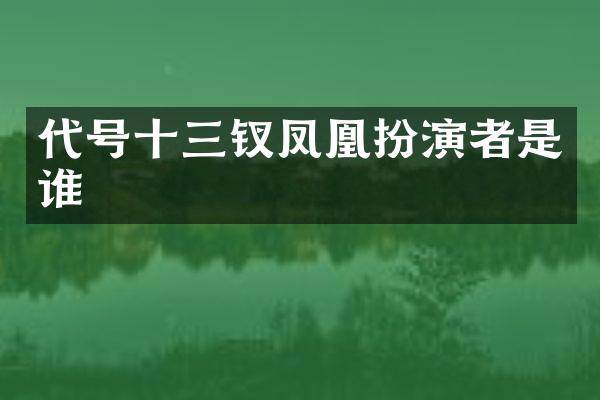 代号十三钗凤凰扮演者是谁