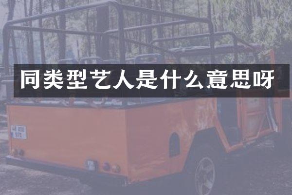 同类型艺人是什么意思呀