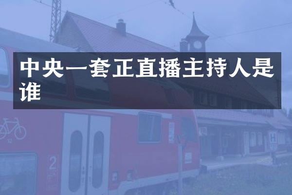 中央一套正直播主持人是谁
