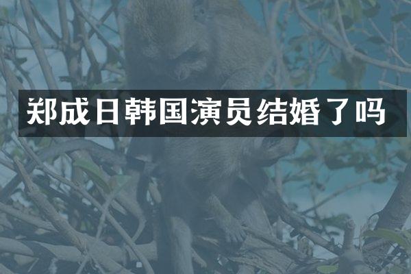 郑成日韩国演员结婚了吗
