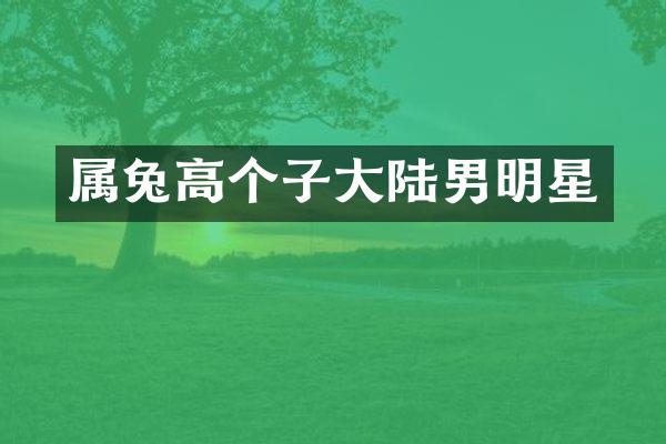 属兔高个子大陆男明星