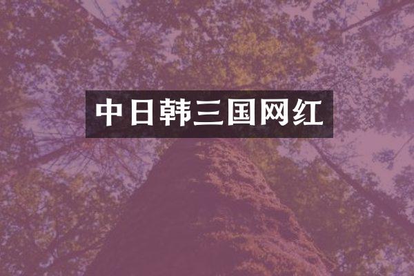 中日韩三国网红