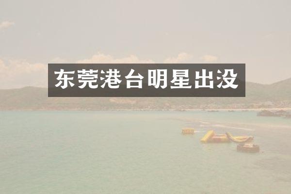 东莞港台明星出没