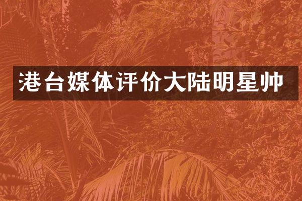 港台媒体评价大陆明星帅
