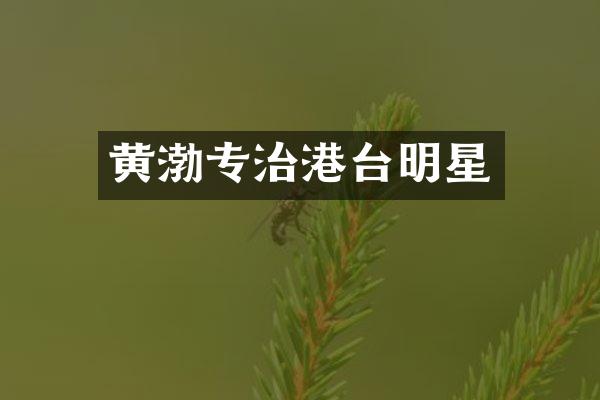 黄渤专治港台明星