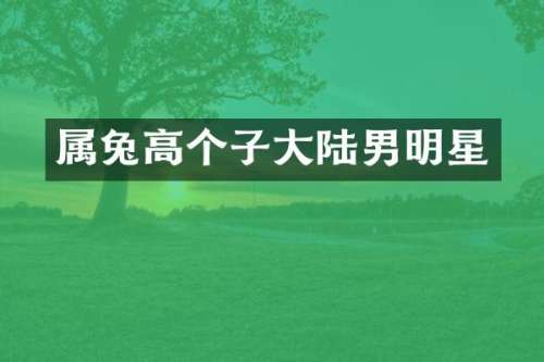 属兔高个子大陆男明星