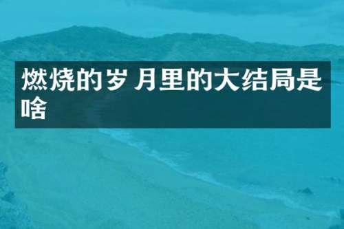 燃烧的岁月里的大结局是啥