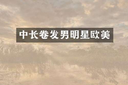 中长卷发男明星欧美