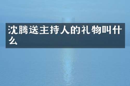 沈腾送主持人的礼物叫什么