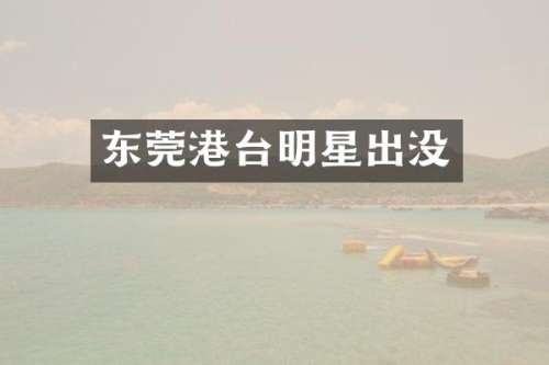东莞港台明星出没