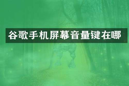 谷歌手机屏幕音量键在哪