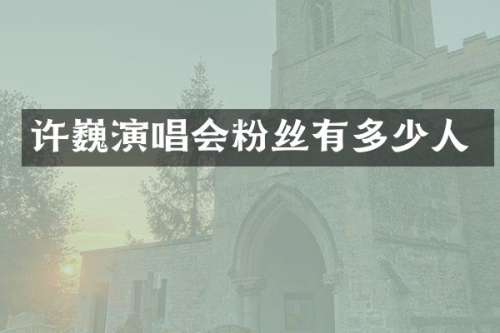 许巍演唱会粉丝有多少人