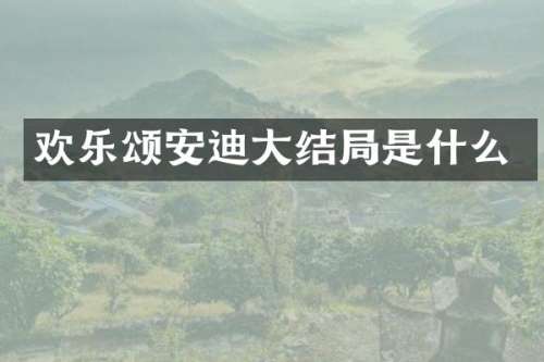 欢乐颂安迪大结局是什么